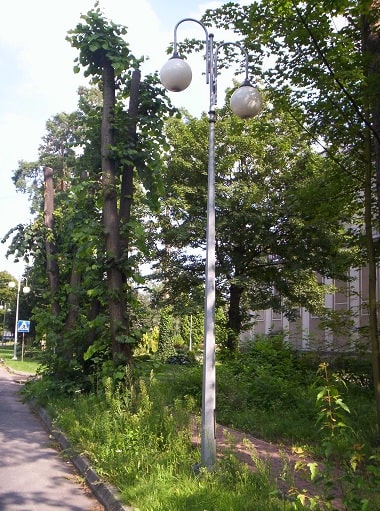 lighting pole