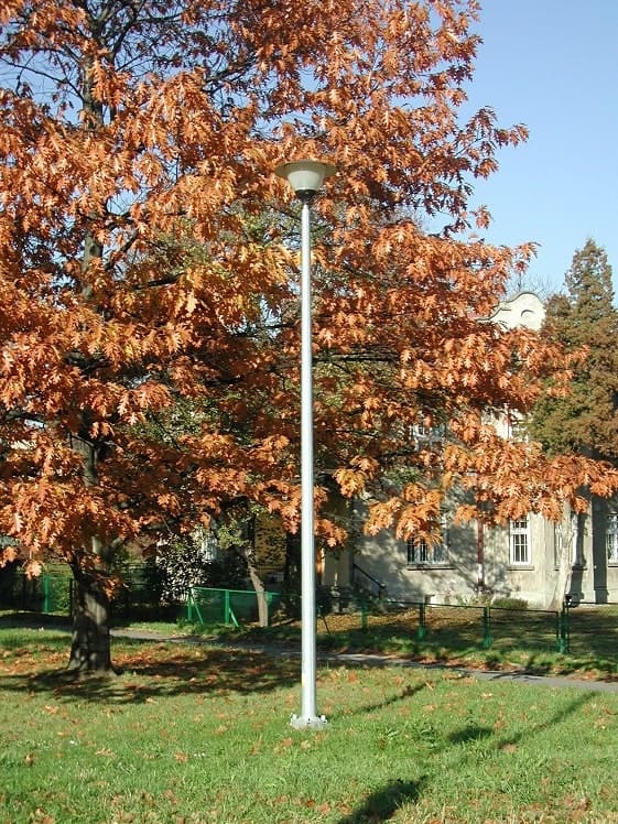 lighting pole